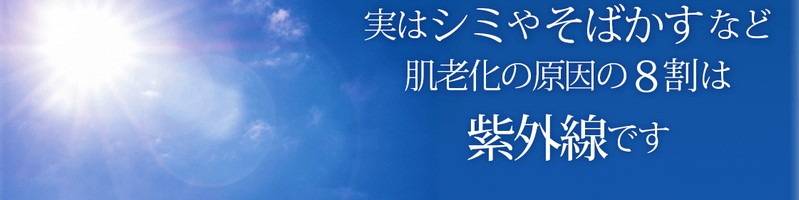 �V�~�E���΂������A���Ƃ���u���b�N����u�z���C�g�j���O�����v���T�C�g